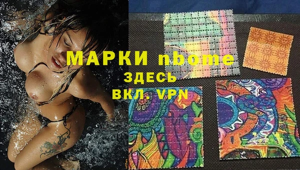 шишки Заволжье