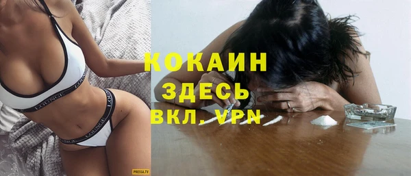 шишки Заволжье