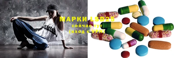 шишки Заволжье