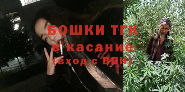 шишки Заволжье