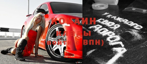 шишки Заволжье