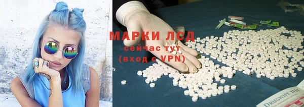 шишки Заволжье