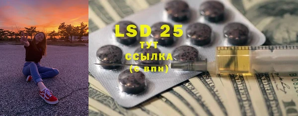 шишки Заволжье