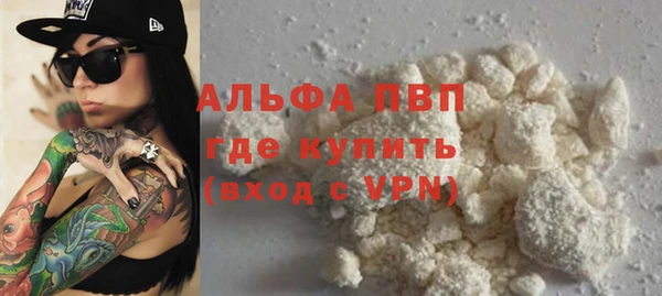 шишки Заволжье